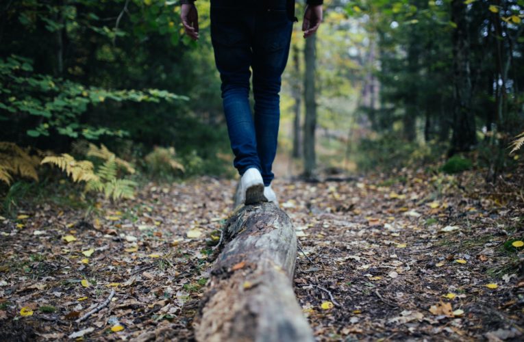 Tips for Balancing your Hormones Naturally  in Krum